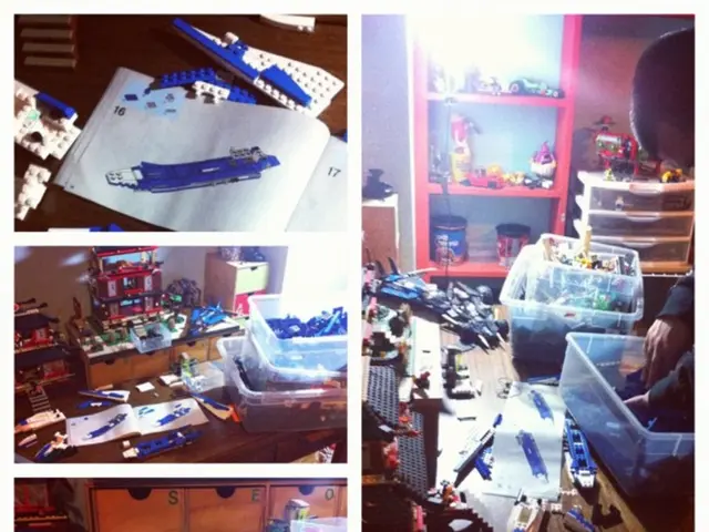 In the image we can see there is a collage of pictures in which there is a person and there are...