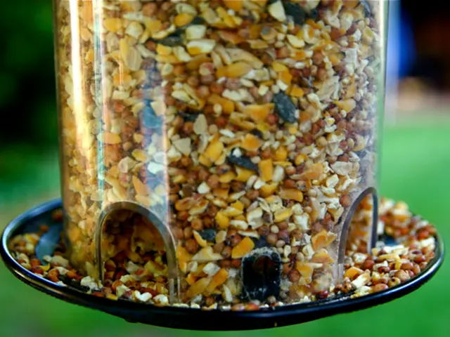 In this picture there is a jar filled with grains. The background is blurred.