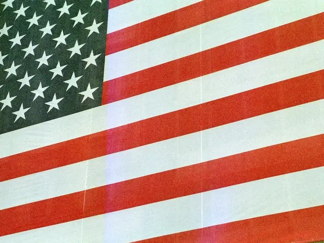 In this picture we can see a flag.