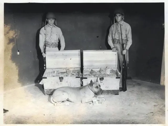 In the middle of the image there is a dog. Behind the dog there are some boxes. Behind the boxes...