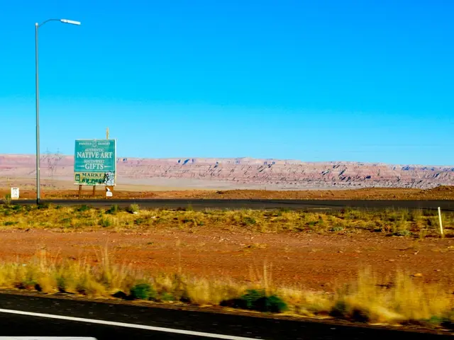 In this image in the center there is dry grass and there are plants. In the background there is a...