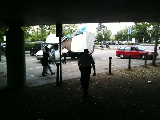 In this image there are a few vehicles passing on the road, on the either side of the road on the...