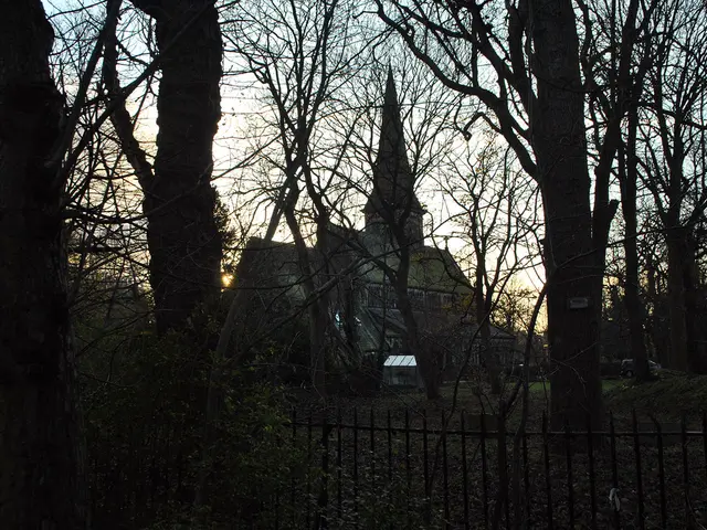 In this picture I can a house, trees, plants, grille, vehicle and sky.