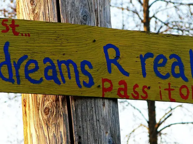 In this picture we can see a board on tree trunk and we can see tree. In the background of the...