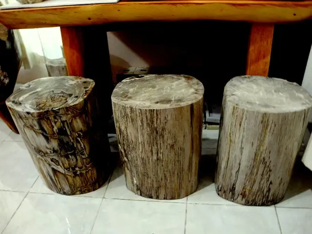 In this picture we can see wooden logs on the floor, white cloth, wall and some objects.