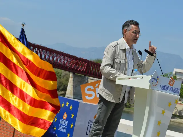 As we can see in the image there is a man talking on mic, flags, poster, bridge, trees and...