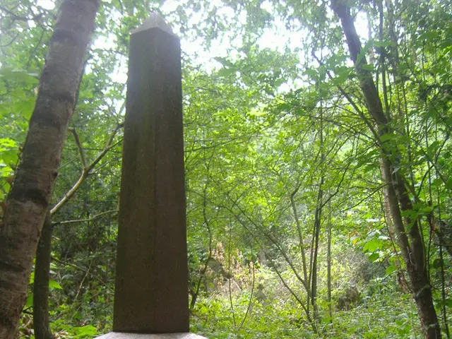 In this image there is a stone pillar in the middle of the forest. Behind there are many trees and...