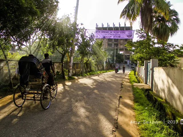 These are the trees with branches and leaves. This looks like a banner, which is hanging. I think...