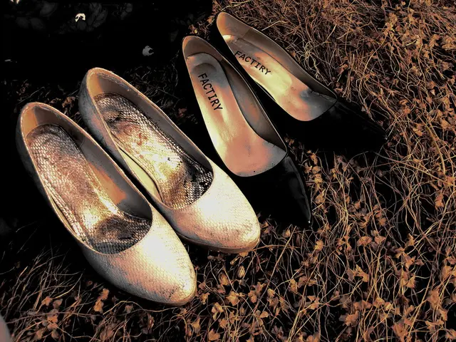 In this image there are two pairs of ballerina shoes.
