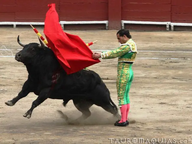 In the picture I can see a man is standing and holding a red color cloth in hands. I can also see a...