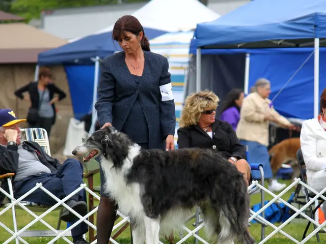 In this image there are group of people, few people are standing and few people are sitting. There...