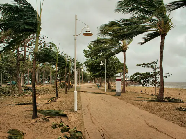 In this image there is a road and on both sides of the road there are many trees and some light...