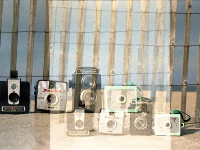 In this image, we can see cameras on the road and in the background, there are sticks.