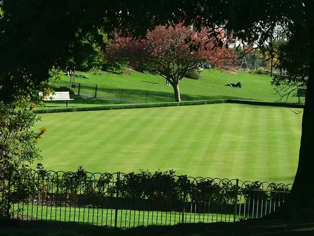 In the foreground of the picture there are plants, railing and trees. In the center of the picture...