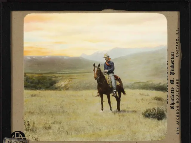 In the image we can see a frame. In the frame a man is riding a horse. Behind him there is grass...