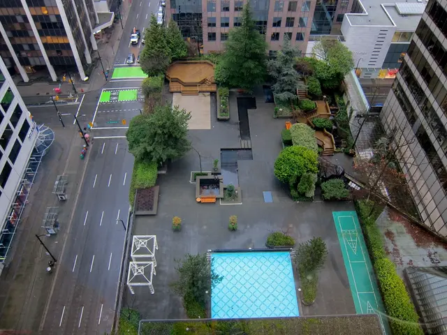 In this image I can see many vehicles on the road, I can also see few trees and plants in green...