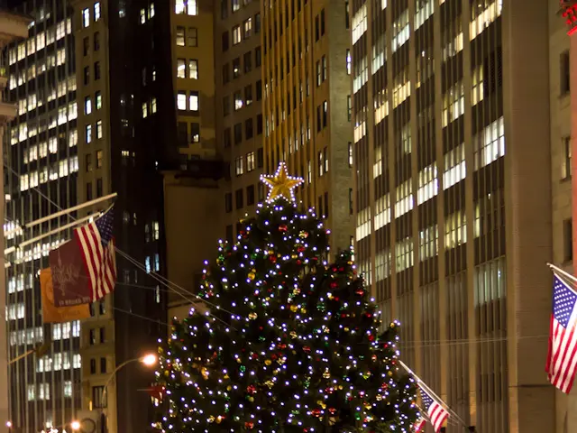 In the middle of this image, there is a Christmas tree arranged on the road, on which there are...