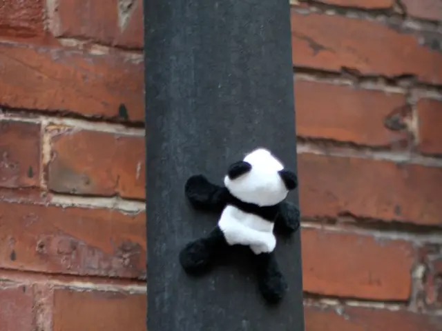 In this image I can see panda toys on a wooden pole. There is a brick wall at the back.