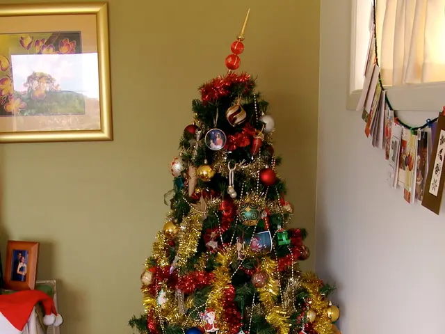 In this image I can see on the right side there is a Christmas tree decorated. At the bottom there...