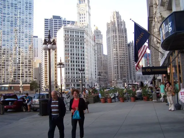 In the center of the image there is a road on which there are people walking. There are flower...