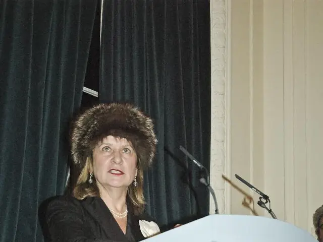 In this image we can see few people. There are few curtains in the image. A person is standing near...