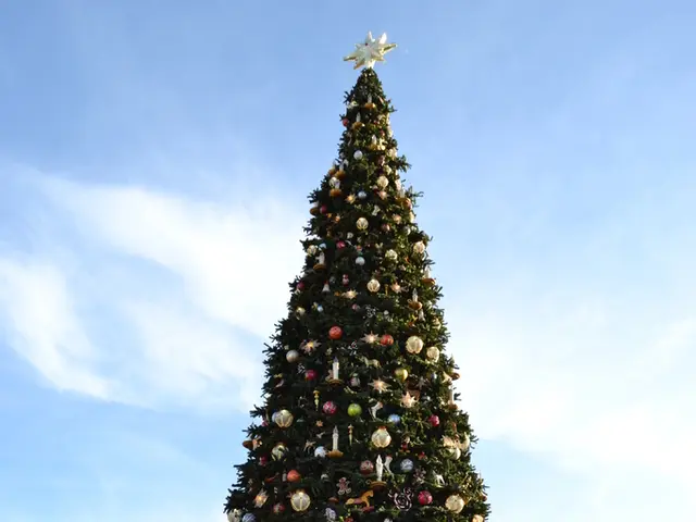 In this picture there is a decorative Christmas tree with black color fencing grill. In the front...