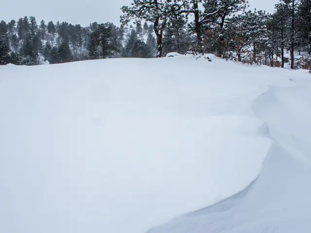 There is a snow surface in the foreground area of the image, there are trees, it seems like...
