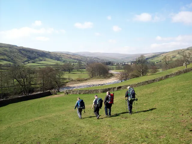 In the image there are few persons with trekking bags walking on the grassland, in the front there...