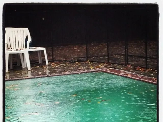 In this image there is a swimming pool, on which there are some dry leaves, there are a few chairs,...