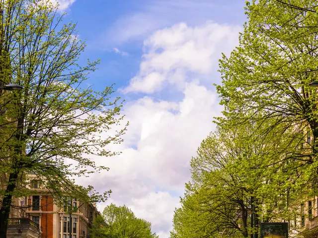 This is a road. These are the trees with branches and leaves. I can see the buildings with the...