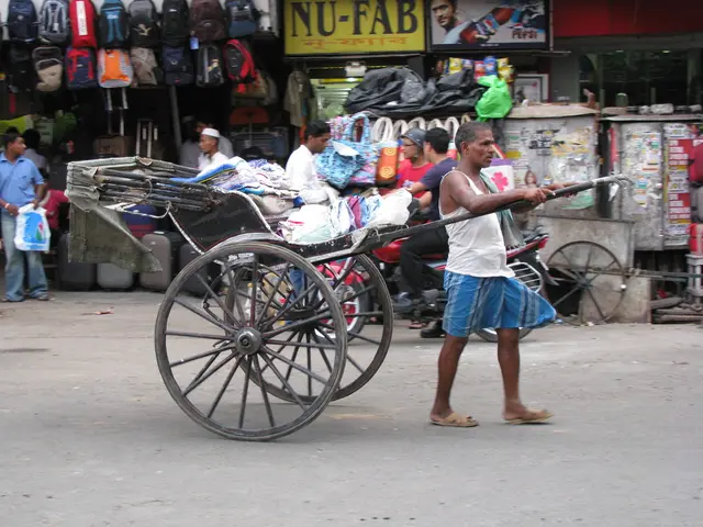 In this image, I can see a person standing on the road and holding pulled rickshaw. There are few...