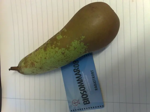 In this image, we can see a bottle gourd is placed on the paper. Here there is a visiting card we...