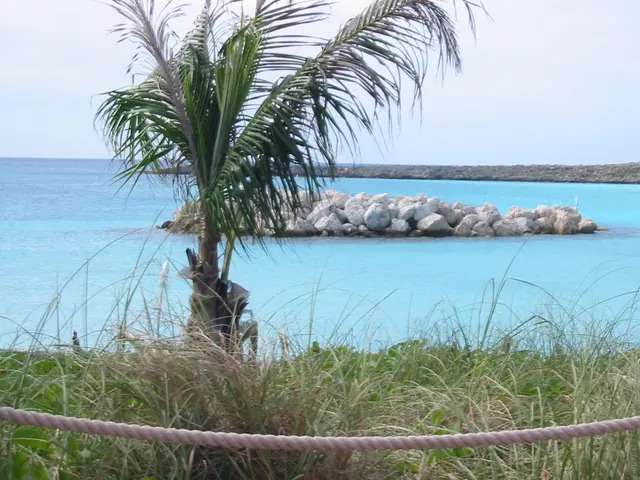 In this picture there is a small Palm plant in the front with glass and white color rope. Behind...