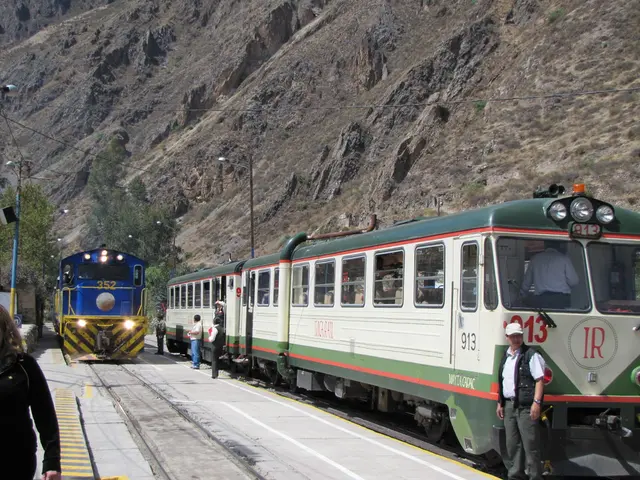 In this image in the center there are two trains, and some people are standing. And at the bottom...