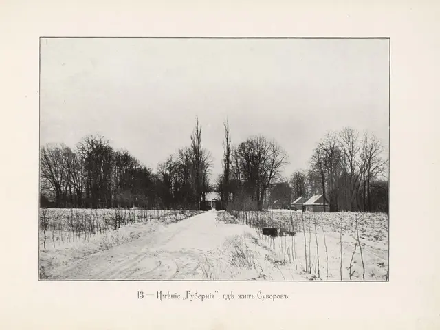 The image shows a black and white photo of a snowy road with trees and houses in the background. At...