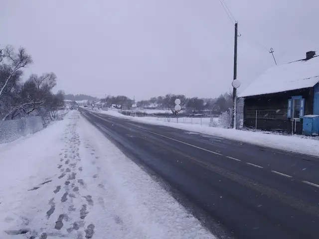 The image shows a snowy road with footprints in the snow on the side of it. On the left side of the...