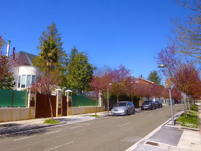 The image shows a street with cars parked on the side of it, surrounded by trees and buildings with...