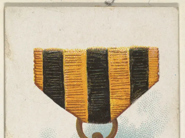 The image shows a poster with a military order of St. George Russia medal on it. The medal is...