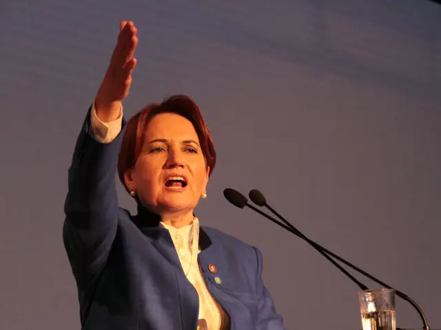 The image shows a woman standing at a podium in front of a screen, with a glass of water and two...