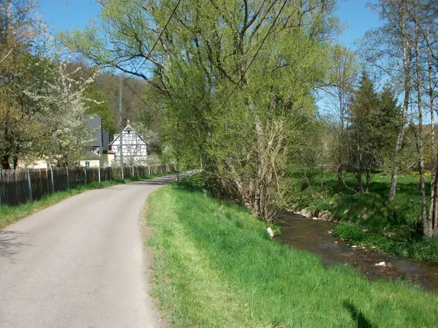 The image shows a country road with a small stream running alongside it, surrounded by lush green...