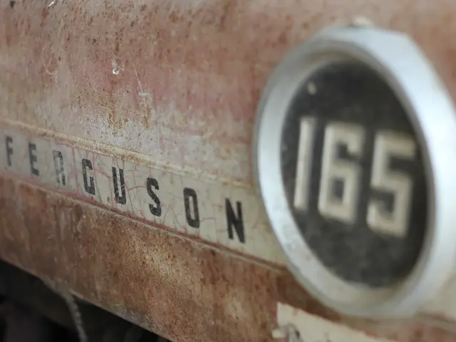 The image shows a close up of a rusty car with the word "Ferguson" written on it and a number...