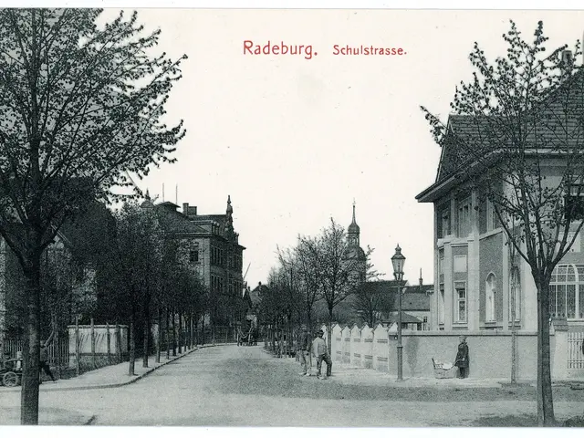 The image shows a black and white photo of a street in Radeburg, Germany. There are trees lining...