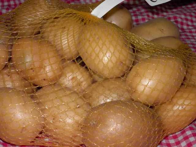 The image shows a bag full of potatoes sitting on top of a red and white checkered table cloth. The...