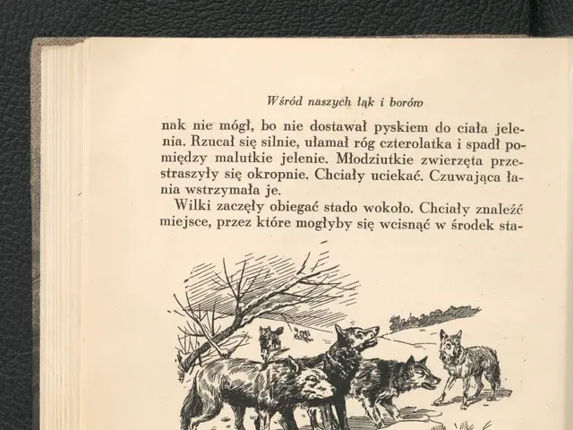 The image shows an open book with a drawing of a group of wolves on it. The book is placed on a...