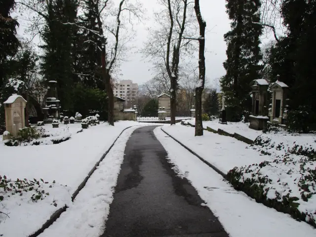 The image shows a snowy path winding through a cemetery, with trees and plants covered in a blanket...