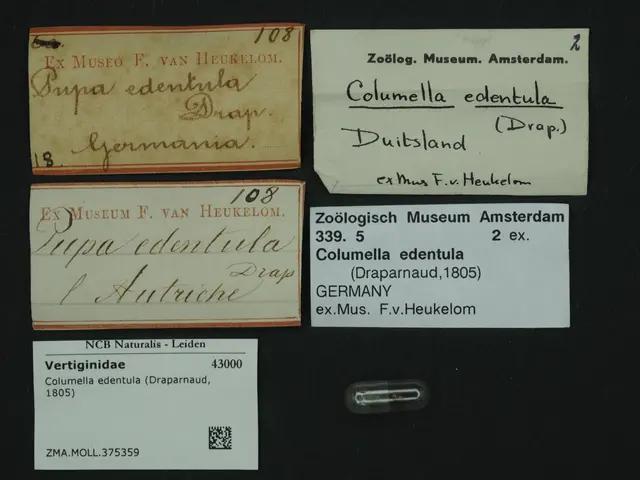 The image shows a collection of old business cards with text written on them, as well as a small...