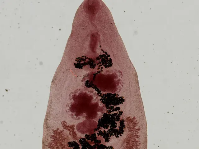 The image shows a close up of a piece of skin with a small amount of red and black spots on it,...