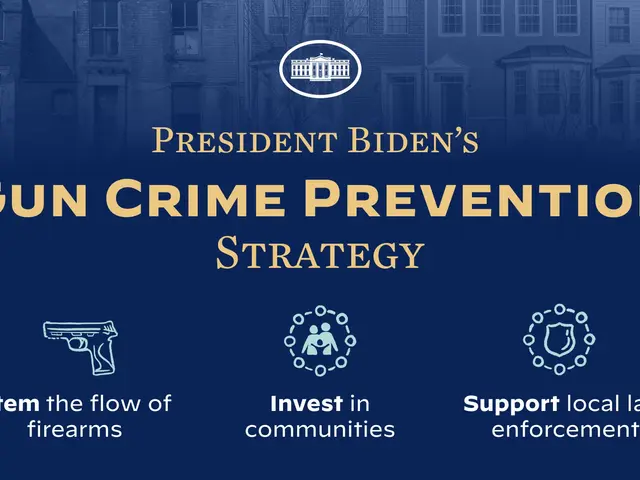The image shows a poster with the words "President Biden's Gun Crime Prevention Strategy" written...
