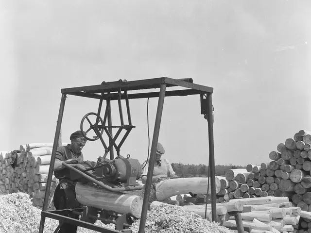 The image shows two men working on a sawmill in a wooded area, surrounded by trees and a clear sky....
