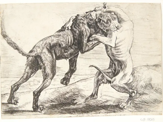 The image shows a black and white drawing of two dogs engaged in a fierce battle, with one of them...